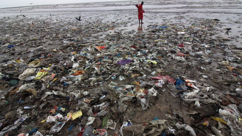 First a straw, now a fork. Turtles are choking on our plastic trash., Pollution