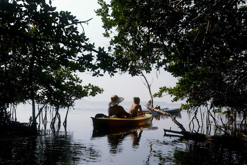 A kayaking tour leaves through the mangroves of Big Pine Key, Fla.