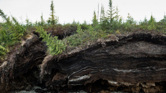 Erosion occurs along the banks of the Koyukuk River i