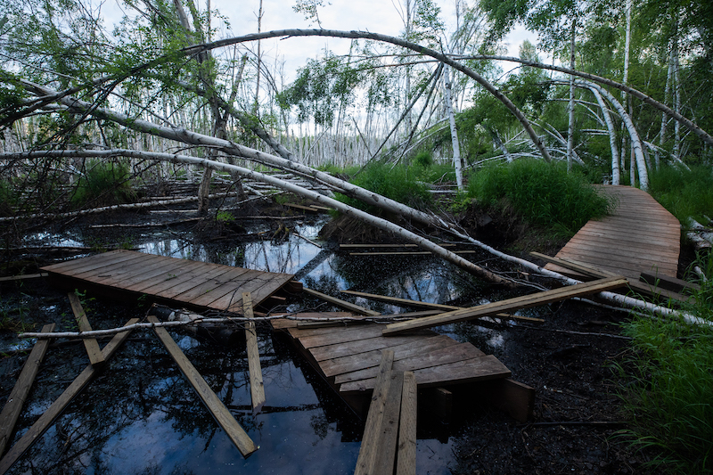 A thermokarst pond and disrupted boardwalk