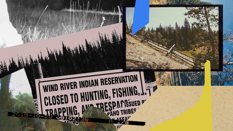 Who Does the State of Wyoming Consider a Poacher? - Type Investigations - Vimarsana News