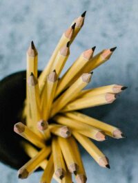 Overhead view of pencils in a cup.