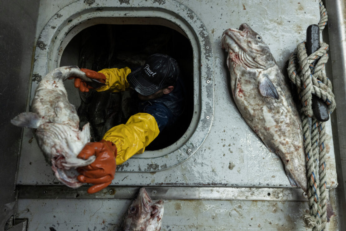 Alaska's Fisheries Are Collapsing. This Congresswoman Is Taking on the  Industry She Says Is to Blame. - POLITICO