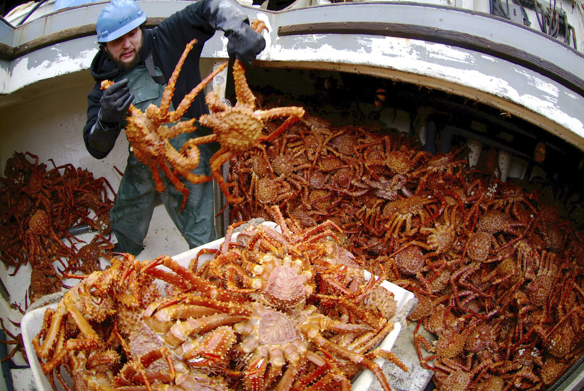Fishing council rejects Alaska emergency red king crab rule that could have  limited pollock, cod fishing