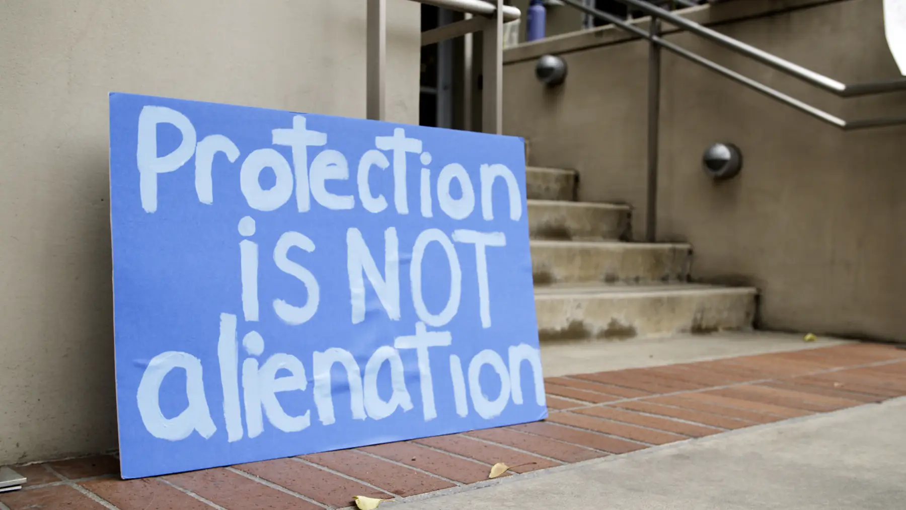 Navigating Parental Alienation and Reunification Challenges