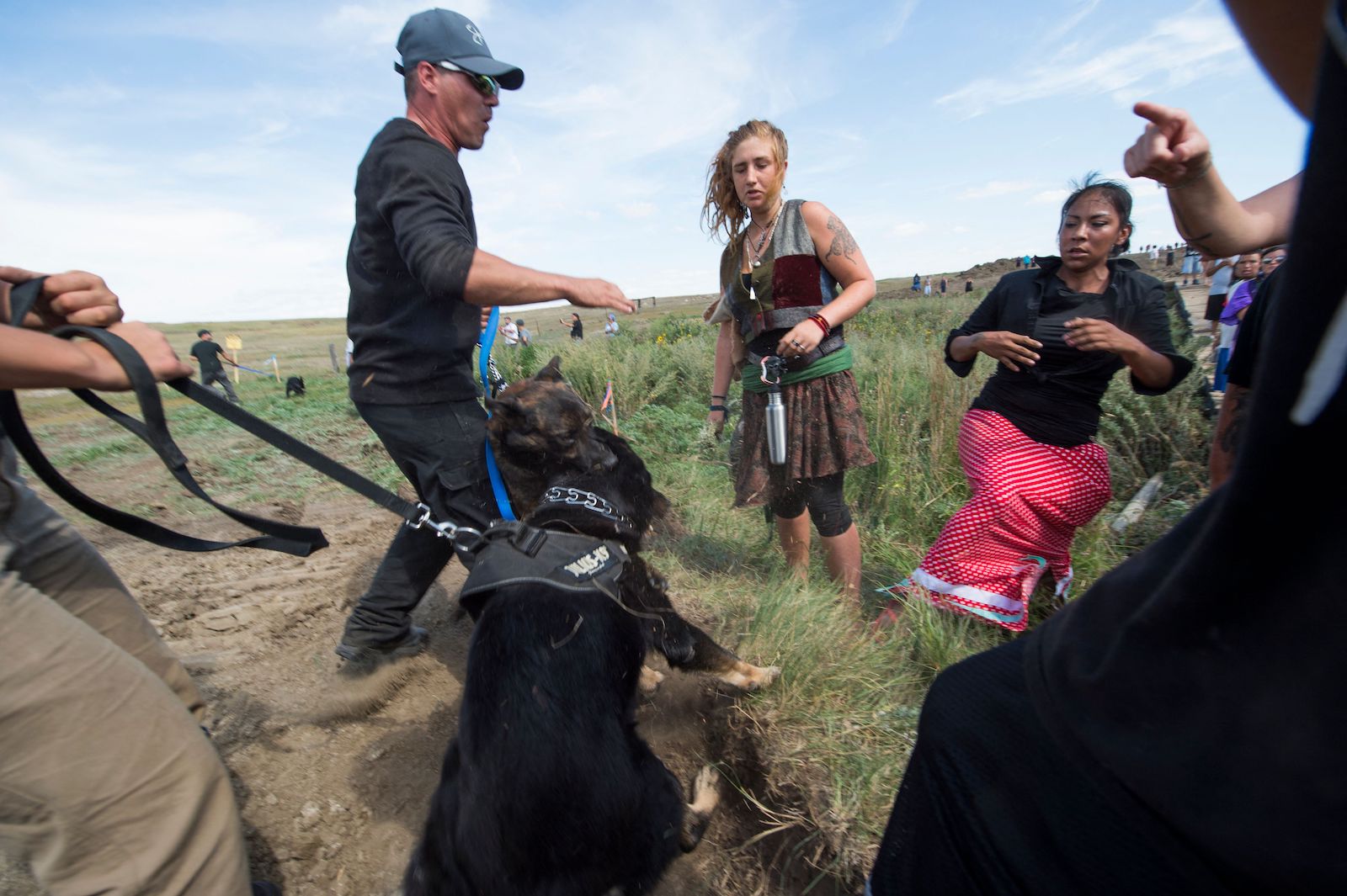 Private security guards hold back dogs near Dakota Access pipeline protesters